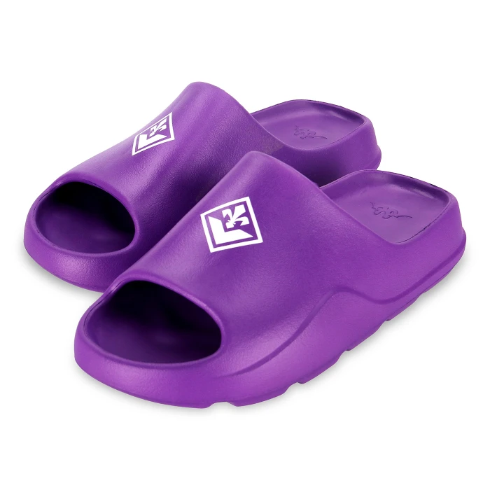 FIORENTINA SLIDES